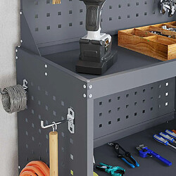 Acheter vidaXL Chariot à outils avec étagère Anthracite 65 x 35 x 111 cm