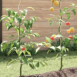 Acheter vidaXL Soutien de plante 50 pcs Argenté 150 x 0,6 x 0,6 cm Acier
