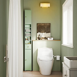 Sobuy Armoire Étroite pour Salle de Bain avec Tiroir, Vert, 20x20x180 cm, BZR34-II-GR