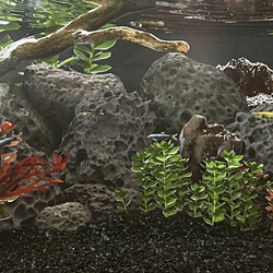 Décoration aquarium Vidaxl