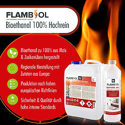 Acheter Hoefer Chemie Bioéthanol Dénaturé 100% FLAMBIOL® - Bouteille de 1L pour Cheminées de Table