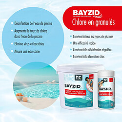 Avis Hoefer chemie Granulés de chlore choc stabilisé Bayzid - 5 kg