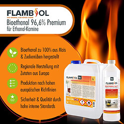 Acheter Hoefer Chemie Bioéthanol FLAMBIOL® dénaturé à 96,6% en bouteille de 1L - Combustible idéal pour cheminées à éthanol