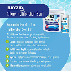 Hoefer Chemie Pastilles de Chlore Multifonction 20g BAYZID® - Système de Chloration 5 en 1 en Boîtes de 1 KG (12 unités) pas cher