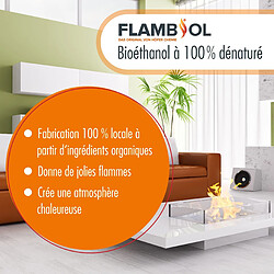 Hoefer Chemie Bioéthanol 96,6% FLAMBIOL® - Combustible de Cheminée en Bidon de 5L