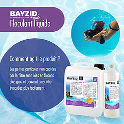 Acheter Hoefer Chemie Floculant Liquide BAYZID® pour Piscines - Bouteille de 1 L (Pack de 6)