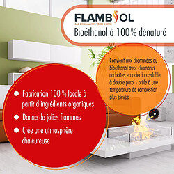 Avis Hoefer Chemie Bioéthanol Dénaturé 100% FLAMBIOL® - Bouteille de 1L pour Cheminées de Table