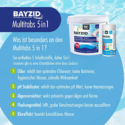 Acheter Hoefer Chemie Pastilles de Chlore Multifonction 20g BAYZID® - Système de Chloration 5 en 1 en Boîtes de 1 KG (12 unités)