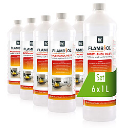 Hoefer Chemie Bioéthanol dénaturé FLAMBIOL® 96,6% en bouteille de 1Lx6 - Combustible idéal pour cheminées de table