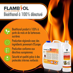 Hoefer Chemie Bioéthanol FLAMBIOL® dénaturé à 96,6% en bouteille de 1L - Combustible idéal pour cheminées à éthanol pas cher