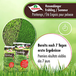 Hoefer Chemie Engrais Minéral VERDURMAX® Printemps / Été pour un Gazon Éclatant pas cher