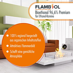 Hoefer Chemie Bioéthanol Dénaturé FLAMBIOL® 96,6% en Bouteille de 1L - Combustible Écologique pour Cheminées de Table