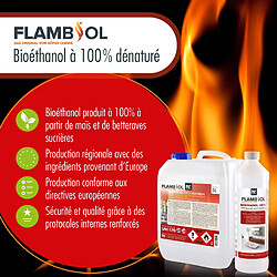 Hoefer Chemie Bioéthanol Dénaturé 100% FLAMBIOL® - Bouteille de 1L pour Cheminées de Table pas cher