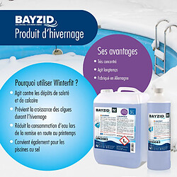 Acheter Hoefer Chemie BAYZID® Winterfit - Produit d'Hivernage pour Piscines 3 L