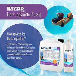 Avis Hoefer Chemie Floculant Liquide BAYZID® pour Piscines - Bouteille de 1 L (Pack de 6)