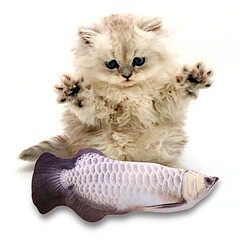 Equipement de transport pour chat