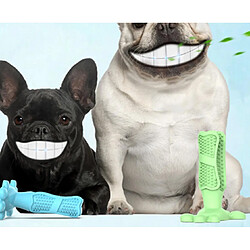 Equipement de transport pour chien