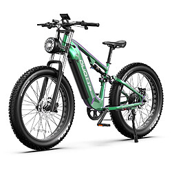 Duotts E26 Vélo électrique - 750W 48V20AH 26*4.0 - Vert Violet