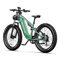 Acheter Duotts E26 Vélo électrique - 750W 48V20AH 26*4.0 - Vert Violet