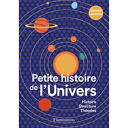Petite histoire de l'Univers : histoire, structure, théories - Occasion