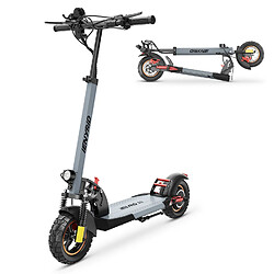 iENYRID IE-A1 Trottinette Électrique - 800W 48V12.5Ah - Gris