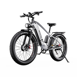 Duotts F26 Vélo Électrique - 750W*2 48V 20Ah - Blanc argenté