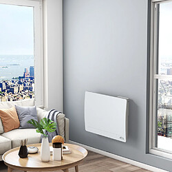 Warm Tech Radiateur inertie fonte 1000 W - IP24 - NF - Fil pilote 6 ordres. pas cher