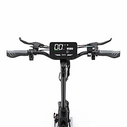 Acheter Trottinette Électrique OOTD T10 - 500W 48V13.5AH - Noir Gris