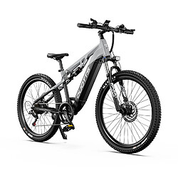Vélo Électrique Duotts E29 - 250W 48V13.5AH - Blanc argenté