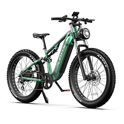 Duotts E26 Vélo électrique - 750W 48V20AH 26*4.0 - Vert Violet