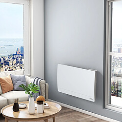 Warm Tech Radiateur inertie fonte 1500 W - IP24 - NF - Fil pilote 6 ordres. pas cher