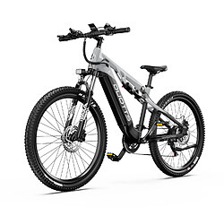 Vélo Électrique Duotts E29 - 250W 48V13.5AH - Blanc argenté