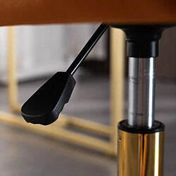 OKWISH Chaise de bureau velours, pieds dorés, gris