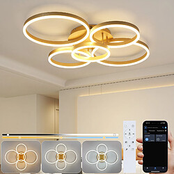 NETTLIFE Plafonnier LED doré à 2 anneaux en acrylique, 46 W, intensité variable, moderne, 59 cm, avec télécommande, pour salon