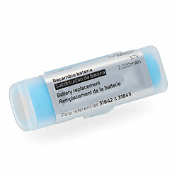 Pile Rechargeable EDM 38126 31842 & 31843 Rechange