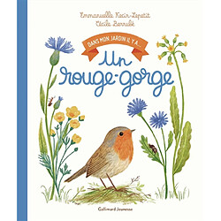 Dans mon jardin, il y a.... Un rouge-gorge