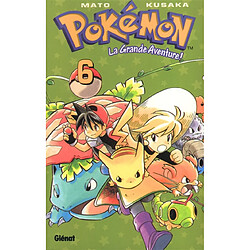 Pokémon : la grande aventure !. Vol. 6