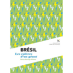 Brésil : les colères d'un géant