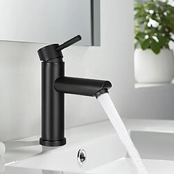 Robinet de lavabo Nettlife