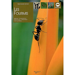 Les fourmis