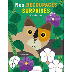 Mes découpages surprises à colorier