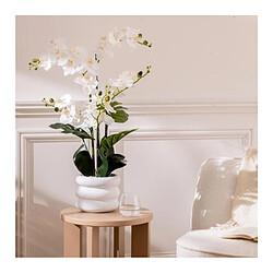 Acheter But Orchidée H. 80 cm MICK Blanc