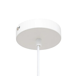 Acheter But Suspension D. 25 cm TRAVIS Blanche
