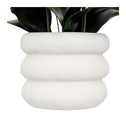 But Orchidée H. 80 cm MICK Blanc