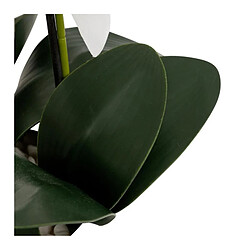 Avis But Orchidée H. 80 cm MICK Blanc