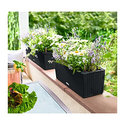 Jardiniere - Balconera cottage 50 - Kit complet - Noir graphite - 8 L - LECHUZA