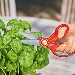 Cisaille, sécateur, ébrancheur & échenilloir