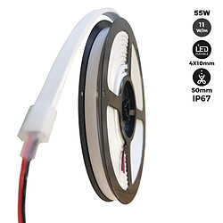 Barcelona LED Barcelona-led néon LED flexible 24V/DC