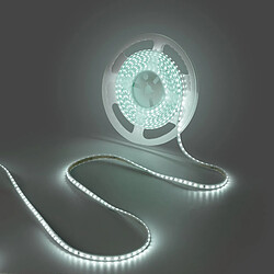 Barcelona LED Barcelona-led ruban LED 220V IP44 - 5 m blanc froid