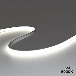 Barcelona LED Barcelona-led néon LED flexible extérieur